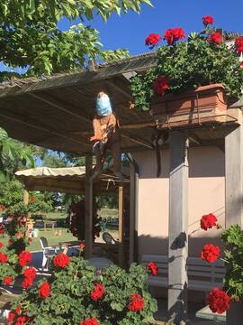 Public Photo of EmmaSquirtbsx