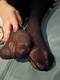 Foto privada de FeetFetishFantasy