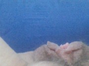 Amateur Video of stellina_vogliosa